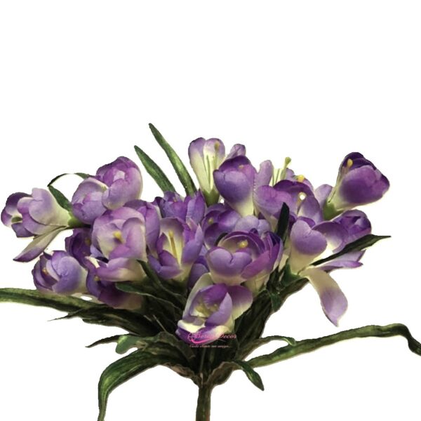 Mazzo Crocus x27 Lilás