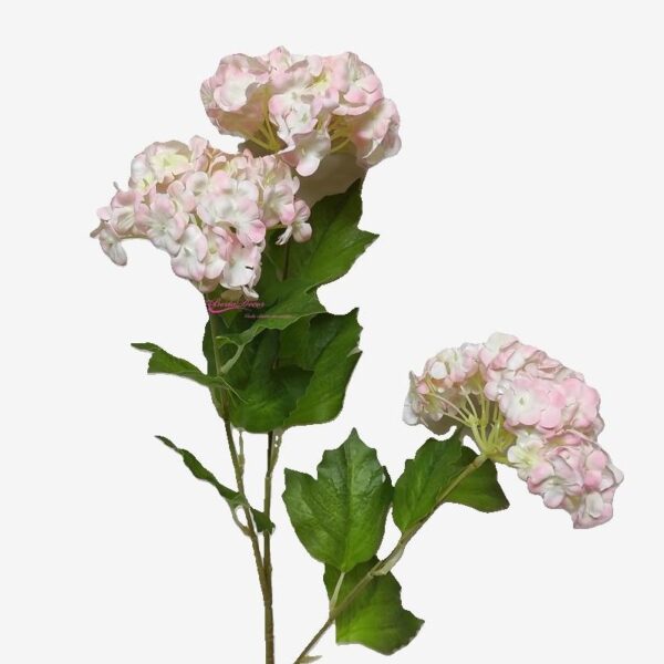 Pé de Viburnum x3Fl  Rosa Claro