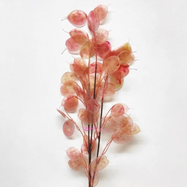 Lunaria Spray 75cm Laranja