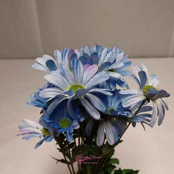 Molho de 6 pés Camomilia spray 3 Azul