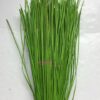 Pac .250grs Rattan Plano 60cm Verde Alface