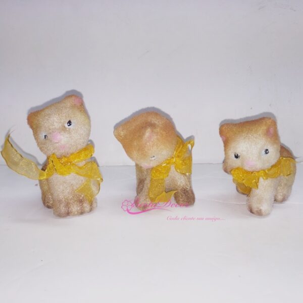 Cxa. Gatos 12pcs