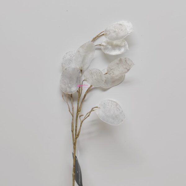 Haste de Lunaria 55cm Branco