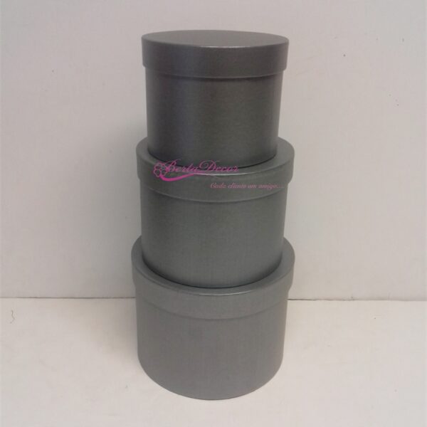 Set 3 Caixas 19x15 / 17x13 / 14x11 Cinza