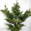 Pine Half Hang Tree 195cm