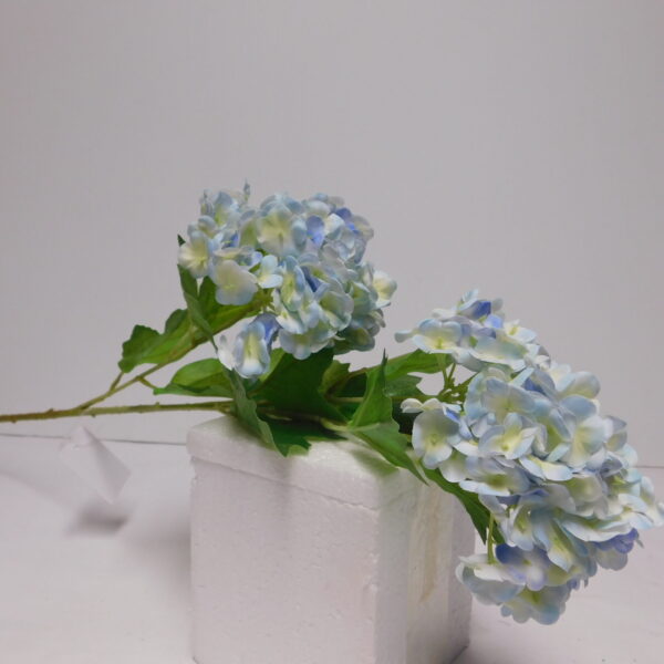 Pé de Viburnum x3Fl  Azul claro