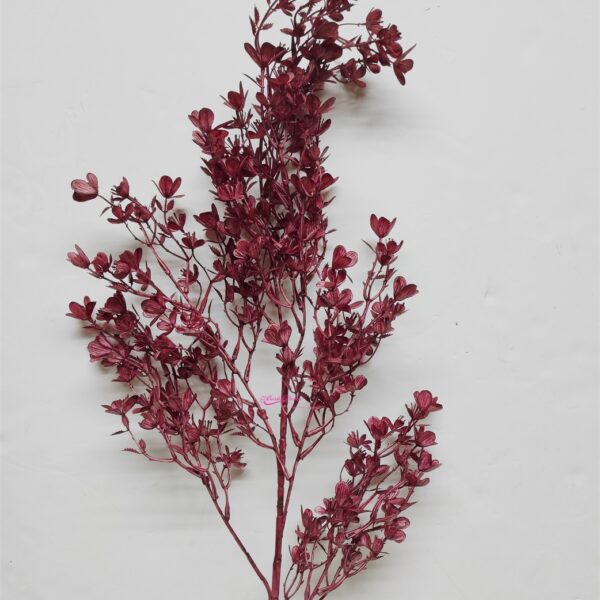 Haste Flores Mini 100cm Bordeaux