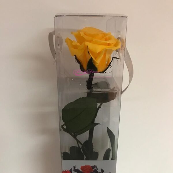 Rosa Preservada Mini Amorosa Amarelo