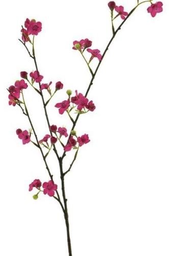 Haste de Flores  87cm Bordeau