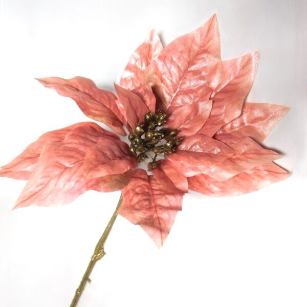 Haste de Poinsettia 72cm Rosa