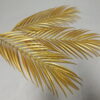 Haste Folhas Dourada Areca