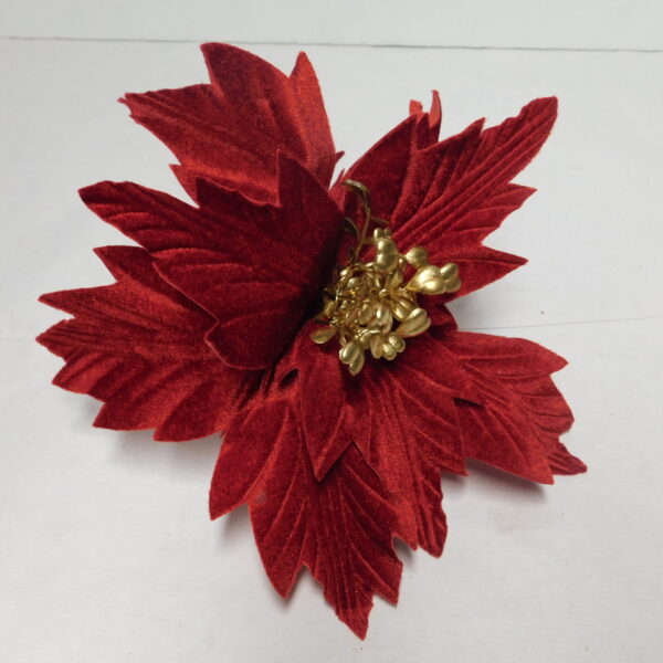 Poinsettia Vermelha