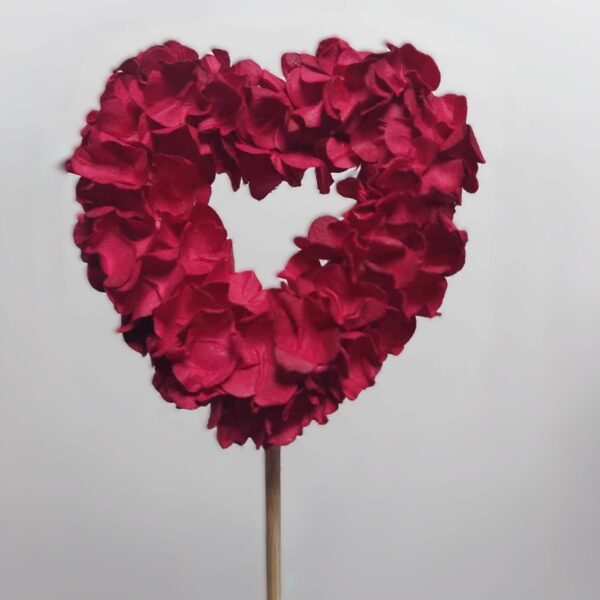 Pac. 10 Picos Petalas de Rosa em Forma Coração Vermelho