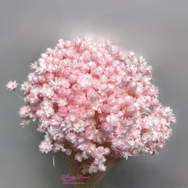 Molho de Glixia 50cm Rosa