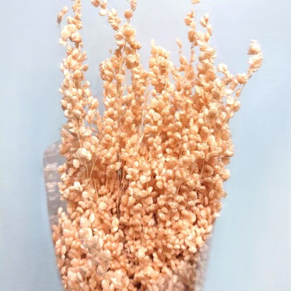 Pac. Briza mini 55cm Salmão