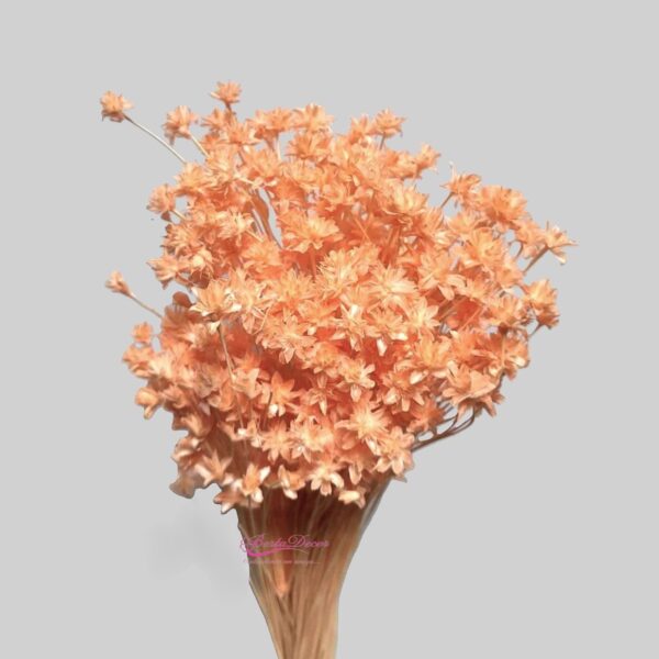 Pac. Hill Flower 45cm Salmão