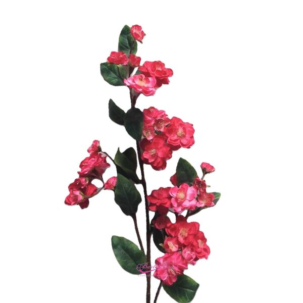 Pé de Cerejeira Rosa Fuxia