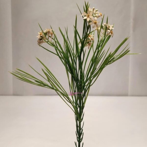 Zephyramthes Rosa