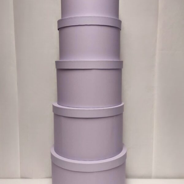 Conj. 5 Cxas Red. 21/19/17/15/13 Lilas