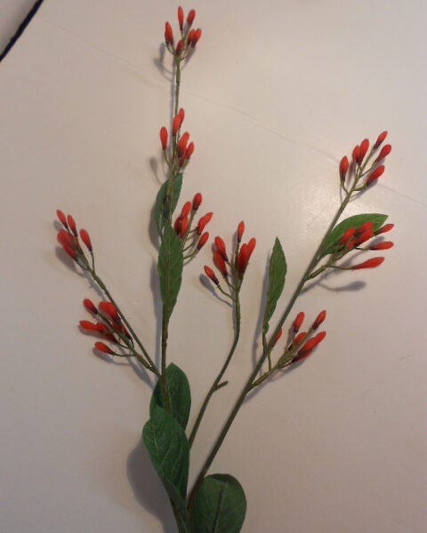 Berry Spray Vermelho