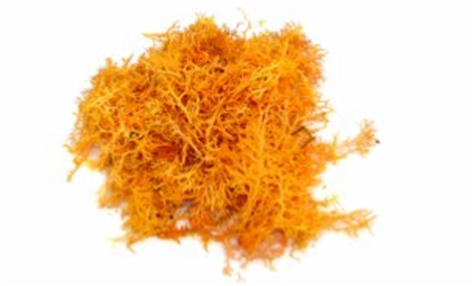 Cx de Musgo 250grs Laranja
