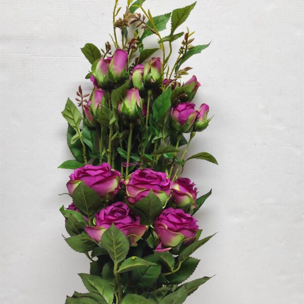Molho x6 Wild Rose x3 Fuxia
