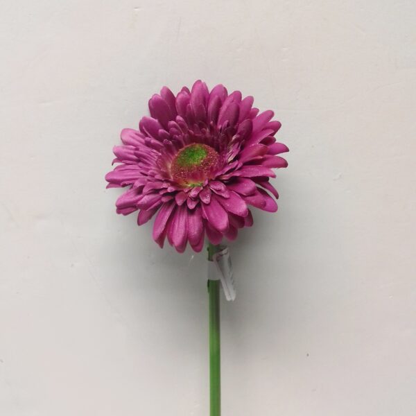Pe de Gerbera  Fuxia 2223A