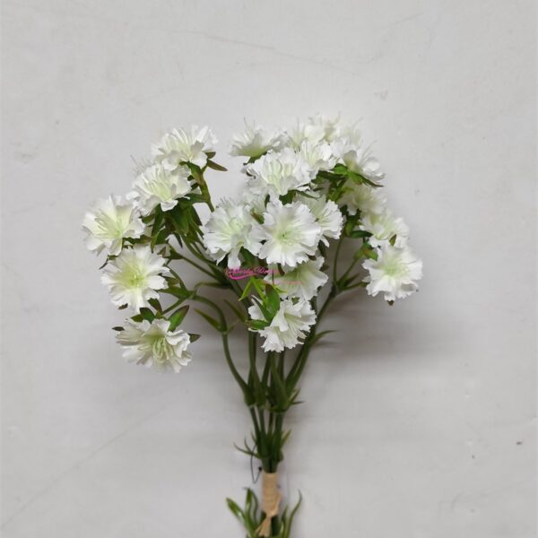 Ramo Dianthus Barbatus Branco