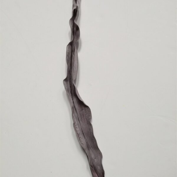 Datteri Leave Bordeaux