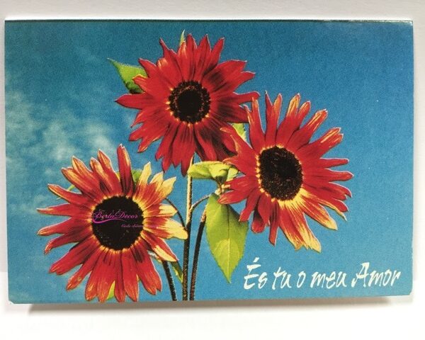 Conj. 15 Cartões "És Tu o Meu Amor"