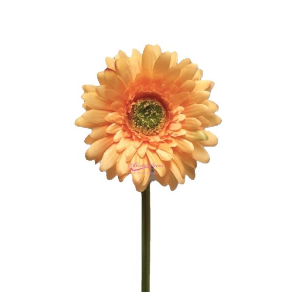 Pe de Gerbera Salmão 1215A