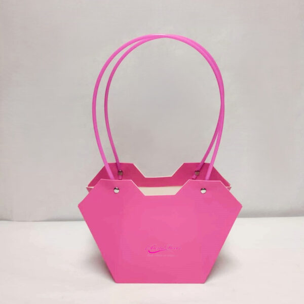 Pac. 10 Sacos Fuxia 23x13x9