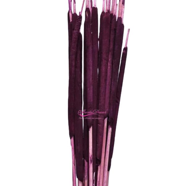 Typha Pequena 25pc Beringela