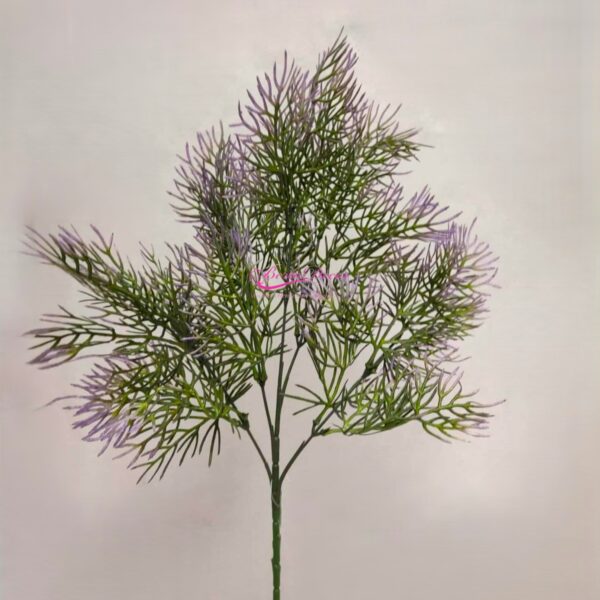 Haste de Asaparagus Verde/Roxo