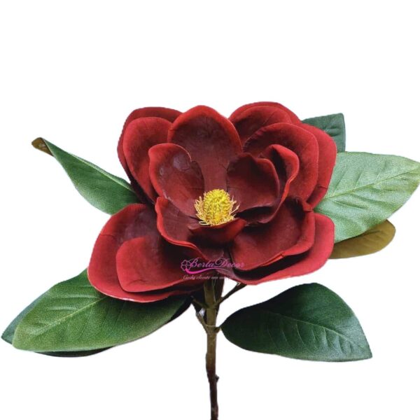 Pé de Magnolia Bordeau Velvet