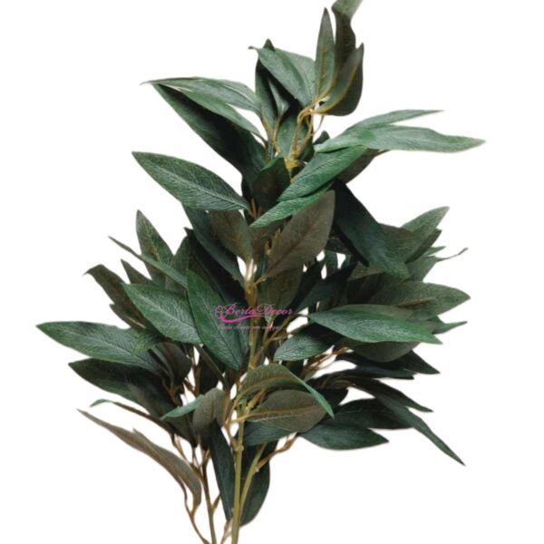 Folha  "Eleocarpus Spray Verde