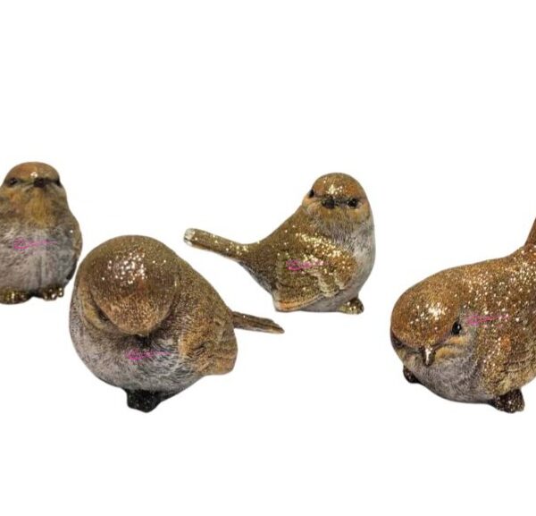 Passarinho Medio Sortido