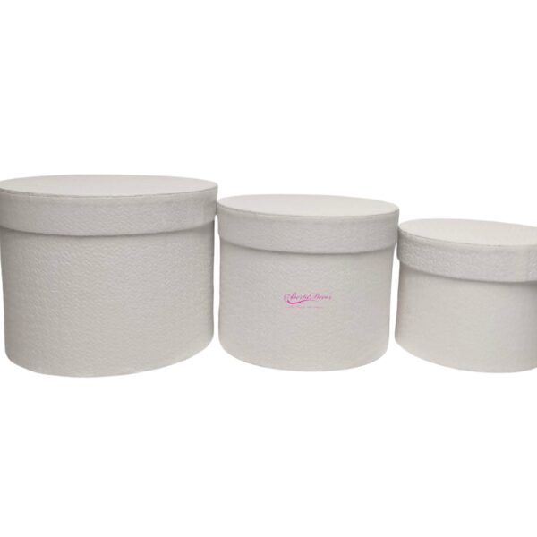 Conj. 3 Cxas. 19X14.17X13-14.7X11  Brancas
