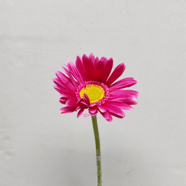 Gerbera Rosa Forte