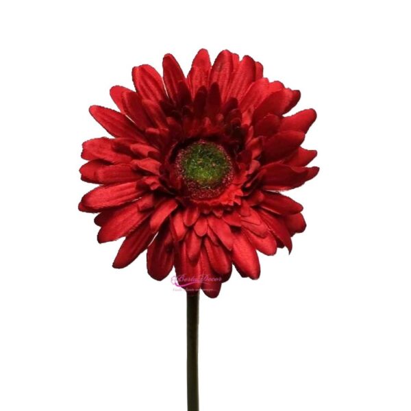 Pe de Gerbera Vermelha 1222A